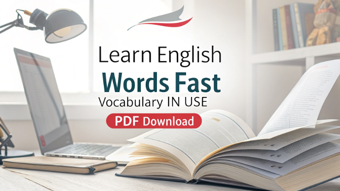 Learn English Words Fast – Vocabulary in Use PDF Download
